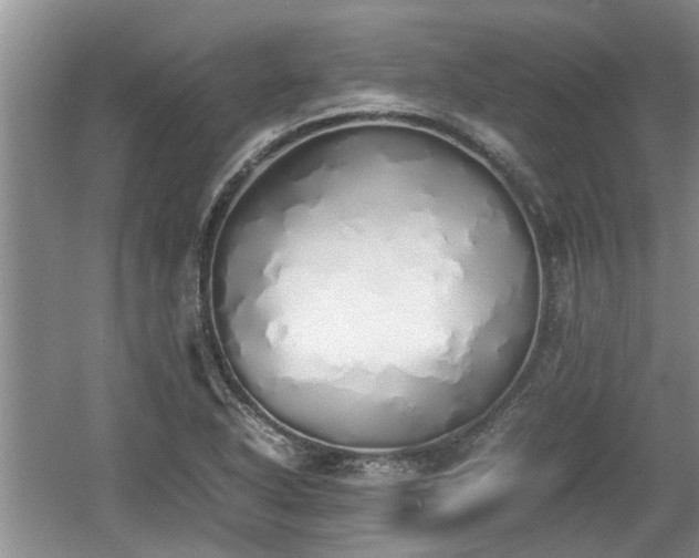 X0000060781318200511141406