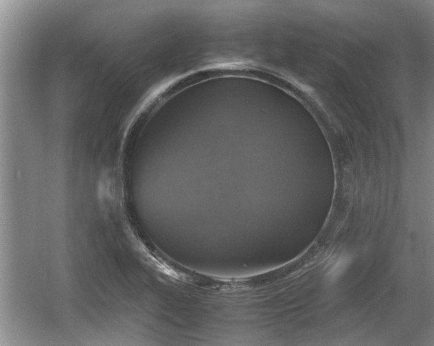 X0000060781319200511141406