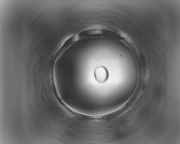 X0000060781321200511141406