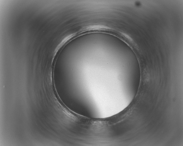 X0000060781322200511141406