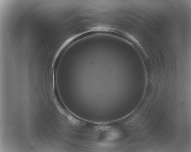 X0000060781323200511141406