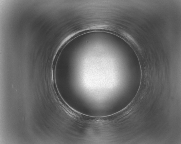 X0000060781324200511141406