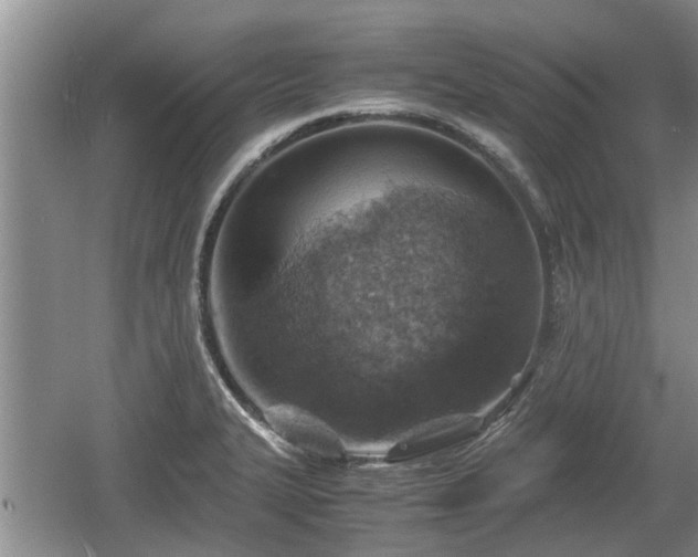 X0000060781327200511141406