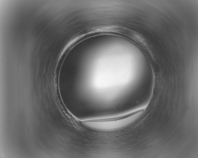 X0000060781328200511141406