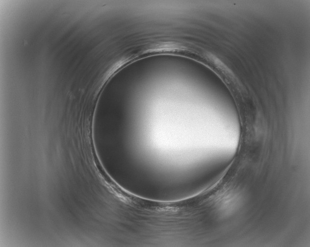 X0000060781329200511141406