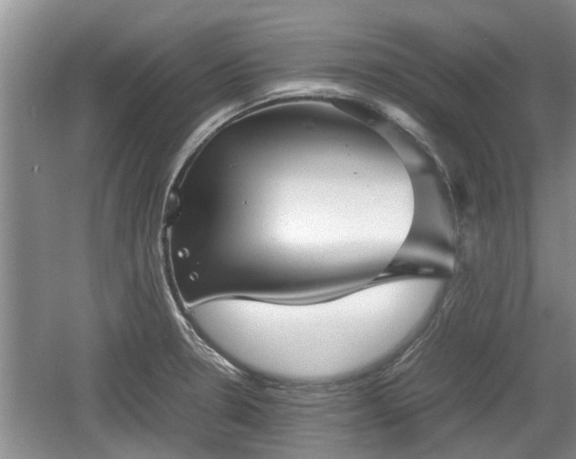 X0000060781330200511141406