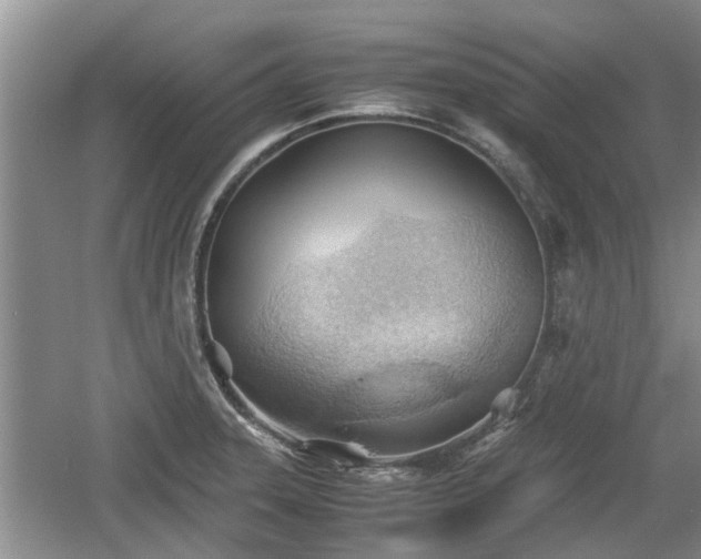 X0000060781331200511141406