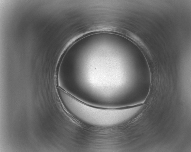 X0000060781332200511141406