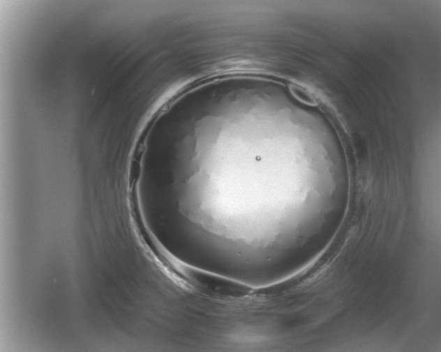 X0000060781333200511141406