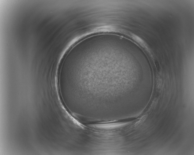 X0000060781334200511141406