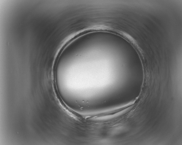 X0000060781335200511141407