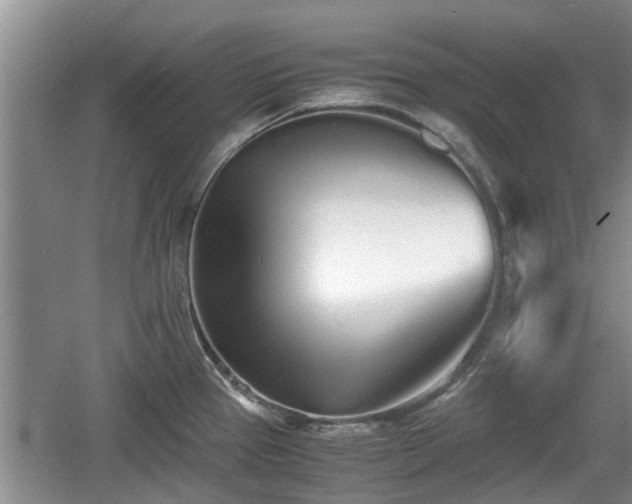 X0000060781337200511141407