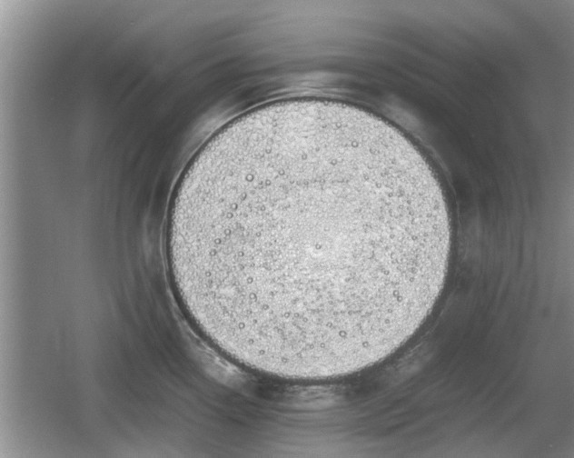 X0000060781338200511141407