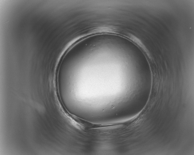 X0000060781339200511141407