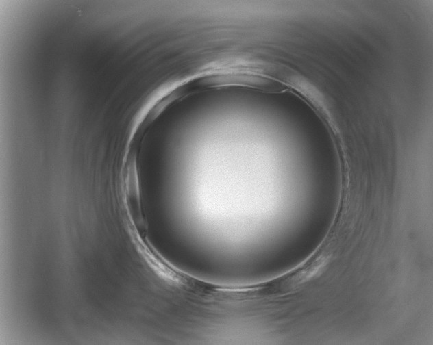 X0000060781344200511141407