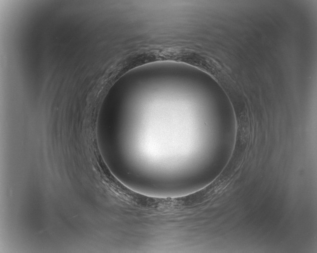 X0000060781345200511141406