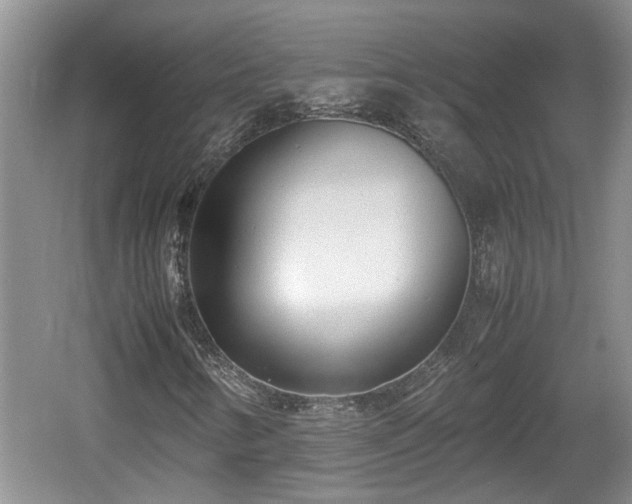 X0000060781346200511141406