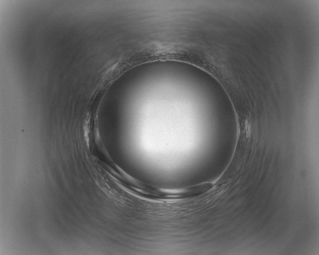 X0000060781348200511141406