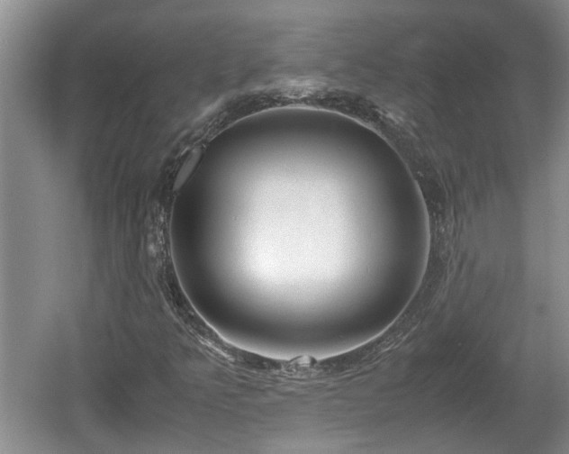 X0000060781349200511141406