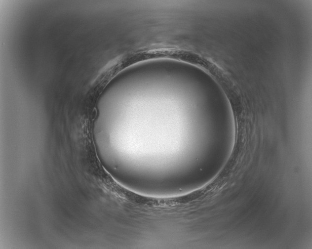 X0000060781351200511141406