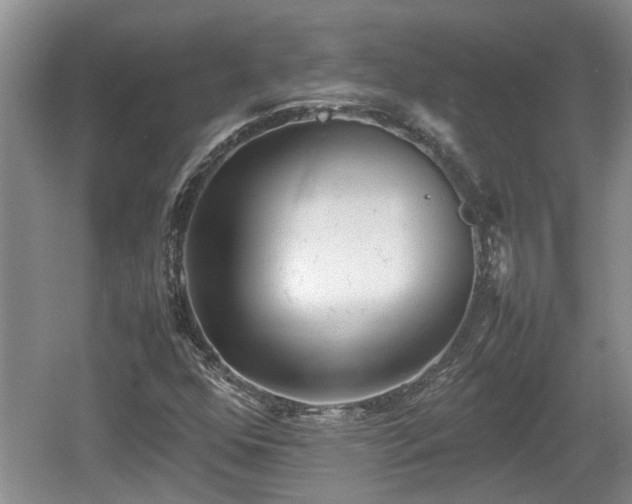 X0000060781352200511141406