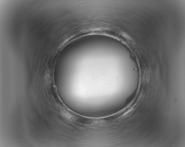 X0000060781353200511141406