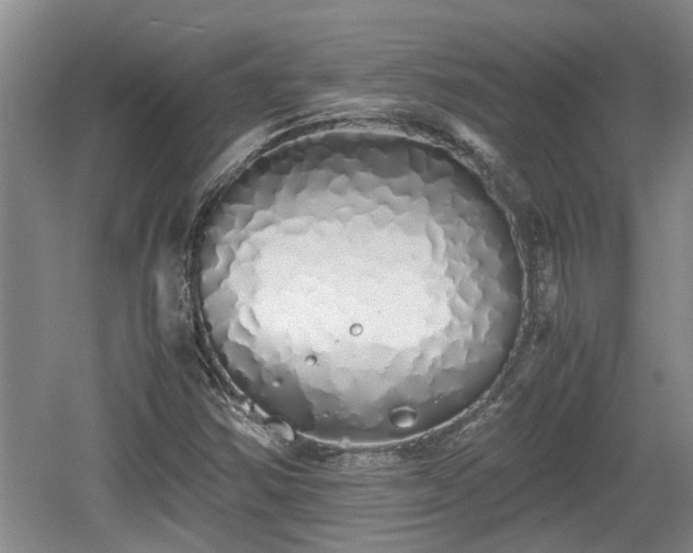 X0000060781354200511141406