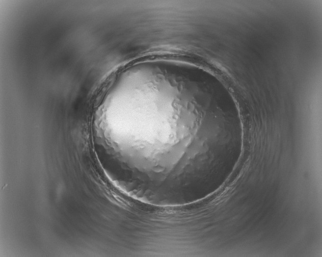 X0000060781355200511141406