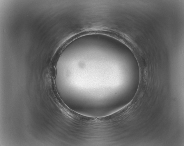 X0000060781356200511141406