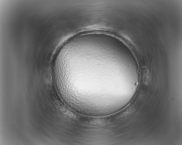 X0000060781358200511141406