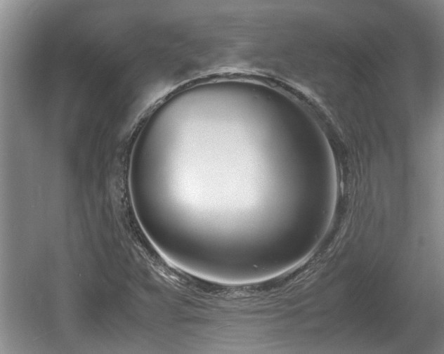 X0000060781359200511141406