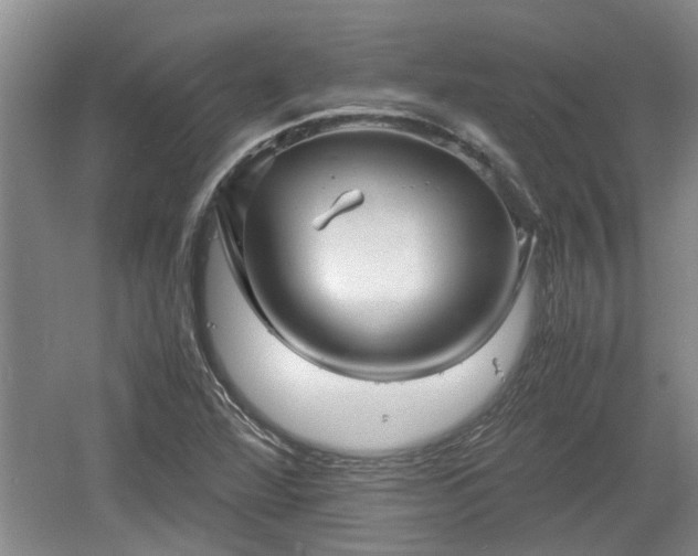 X0000060781360200511141406