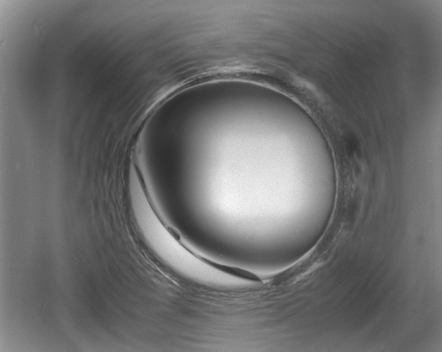 X0000060781361200511141406