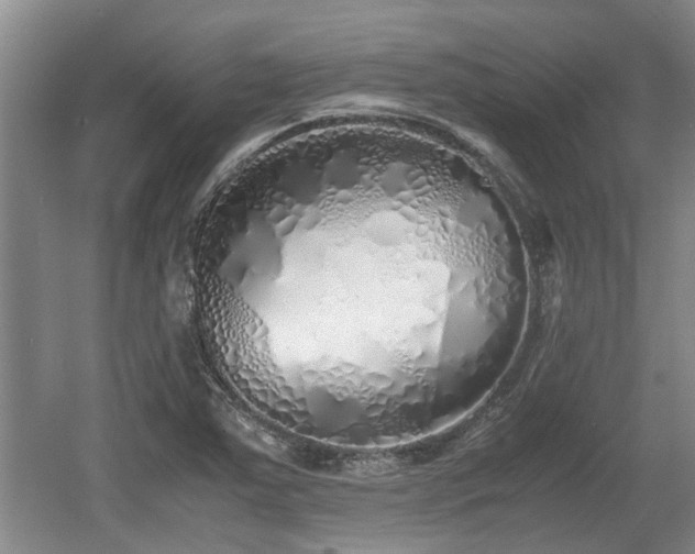 X0000060781363200511141406