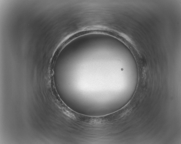 X0000060781364200511141406