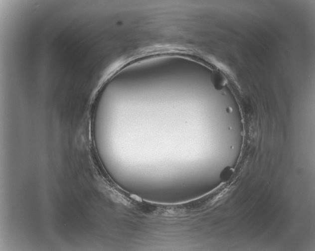 X0000060781365200511141406