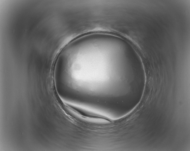 X0000060781367200511141405