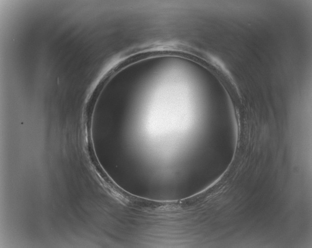 X0000060781368200511141405