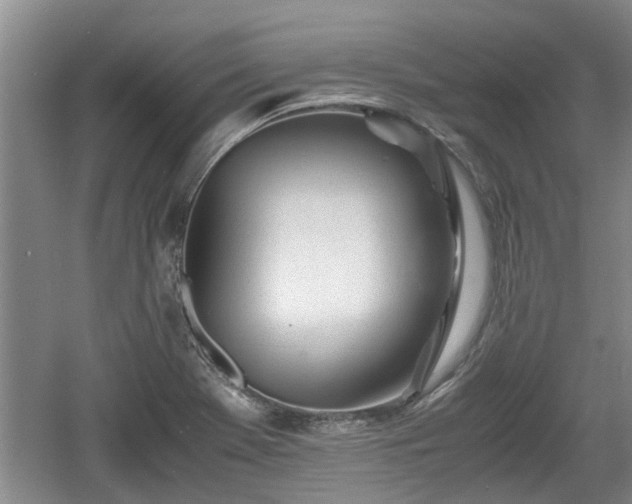 X0000060781369200511141405