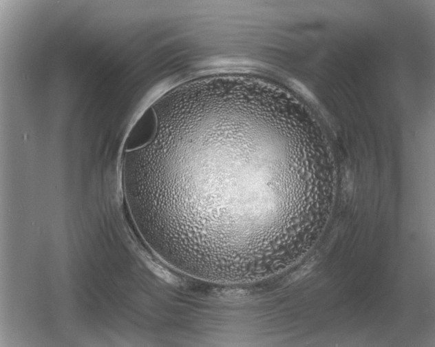 X0000060781370200511141405