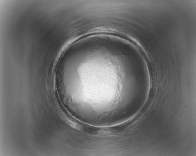 X0000060781371200511141405