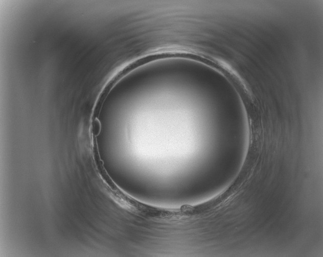 X0000060781372200511141405