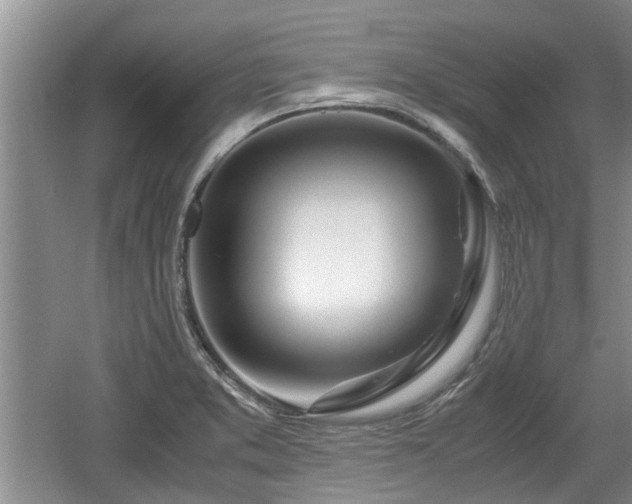 X0000060781373200511141405