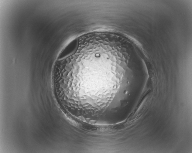 X0000060781375200511141405