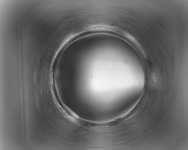 X0000060781376200511141405