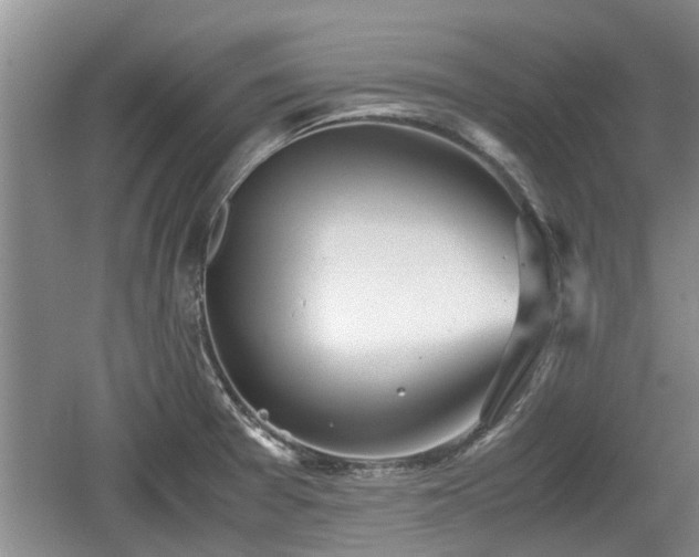 X0000060781377200511141405