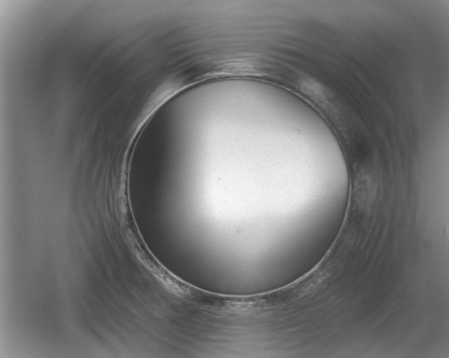 X0000060781378200511141405