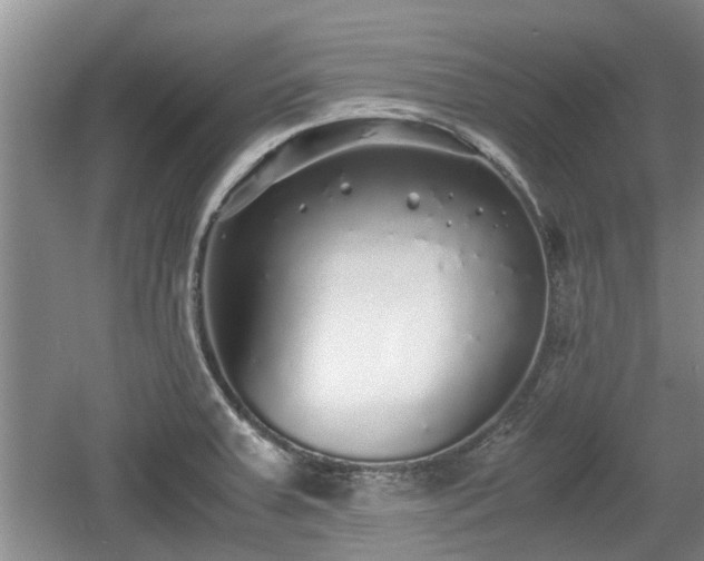 X0000060781379200511141405