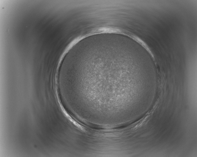 X0000060781381200511141405