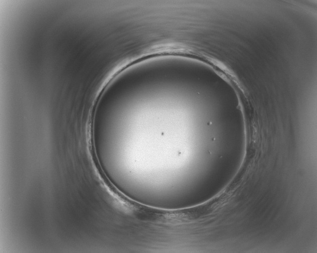 X0000060781383200511141405